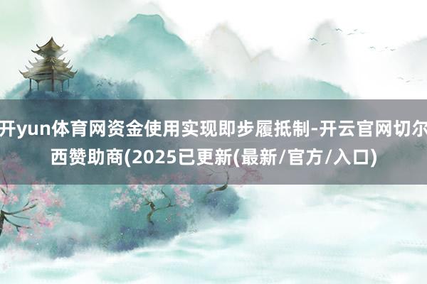 开yun体育网资金使用实现即步履抵制-开云官网切尔西赞助商(2025已更新(最新/官方/入口)