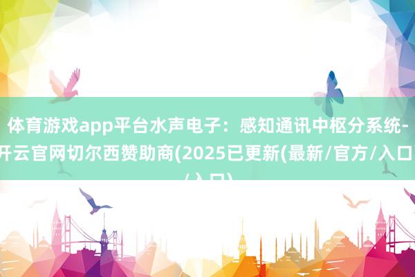 体育游戏app平台水声电子：感知通讯中枢分系统-开云官网切尔西赞助商(2025已更新(最新/官方/入口)