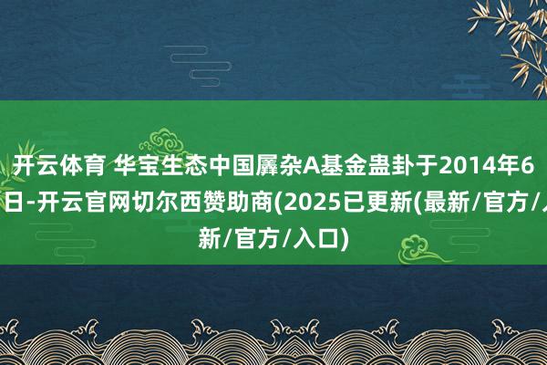 开云体育 华宝生态中国羼杂A基金蛊卦于2014年6月13日-开云官网切尔西赞助商(2025已更新(最新/官方/入口)
