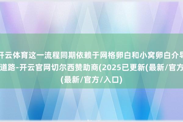 开云体育这一流程同期依赖于网格卵白和小窝卵白介导的内吞道路-开云官网切尔西赞助商(2025已更新(最新/官方/入口)