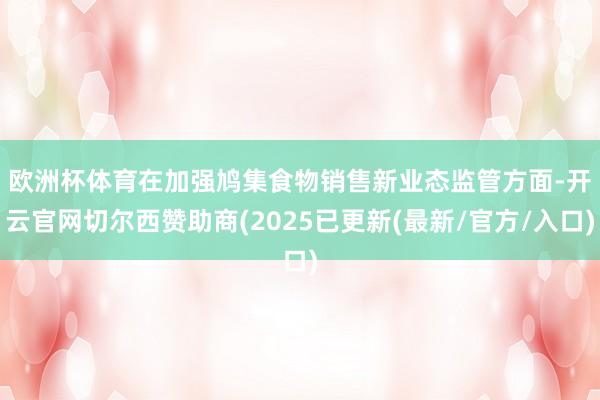欧洲杯体育　　在加强鸠集食物销售新业态监管方面-开云官网切尔西赞助商(2025已更新(最新/官方/入口)